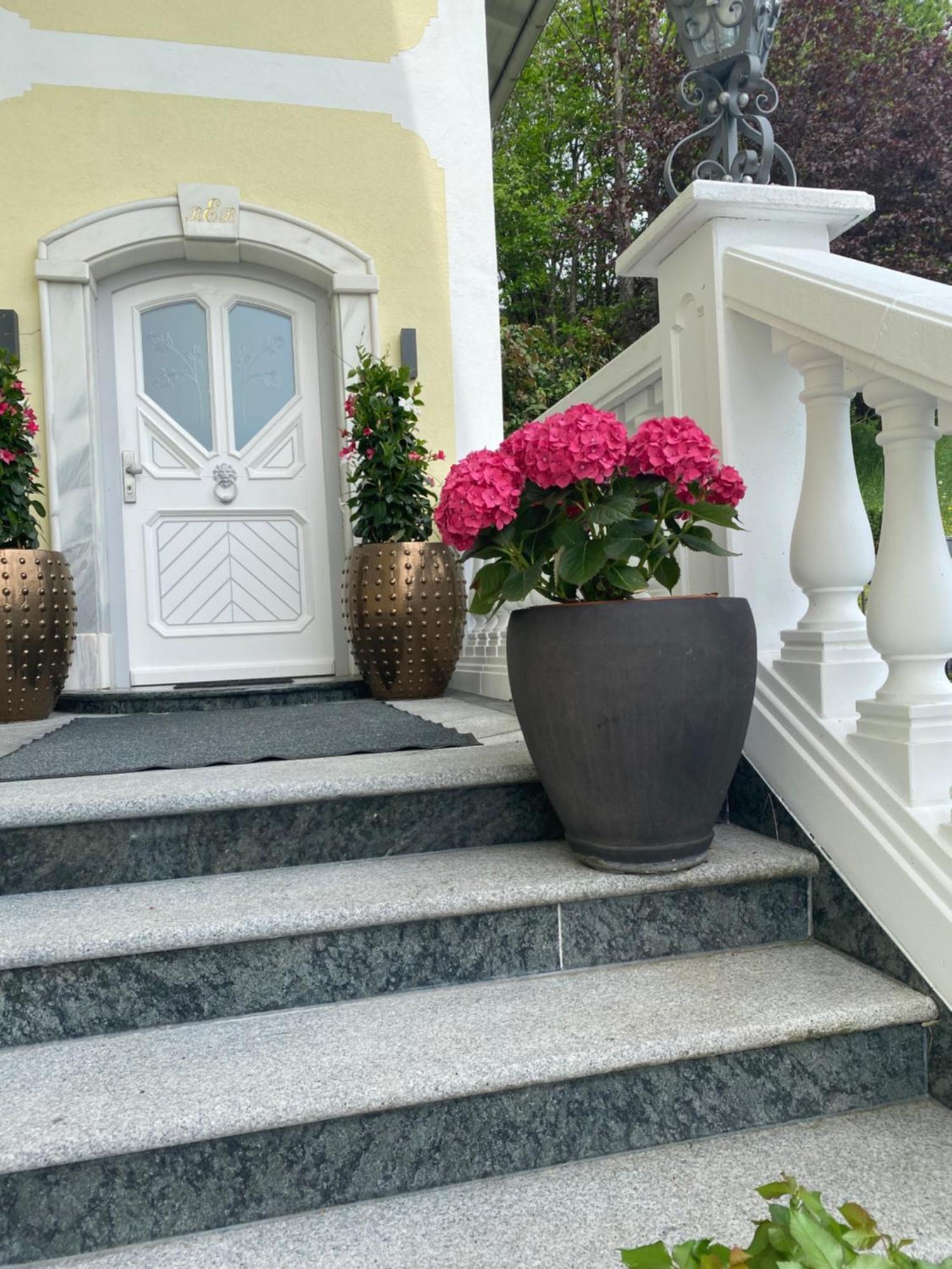Appartement Bergblick I Faistenau Exteriér fotografie